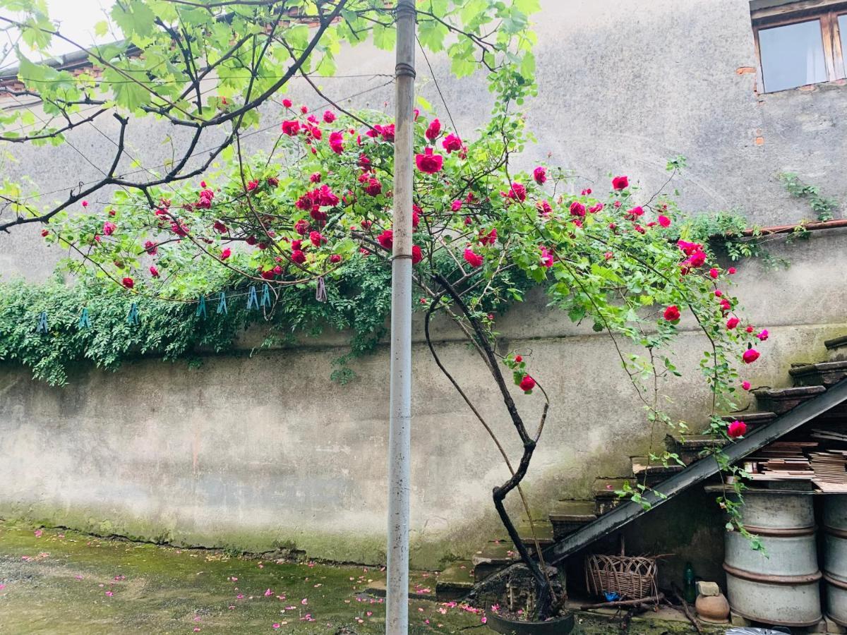 Hôtel Perla.Geo à Koutaïssi Extérieur photo